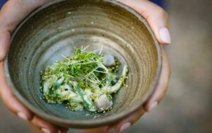 Zucchini och gurknudlar med wasabitahini och 5 min sill - recept